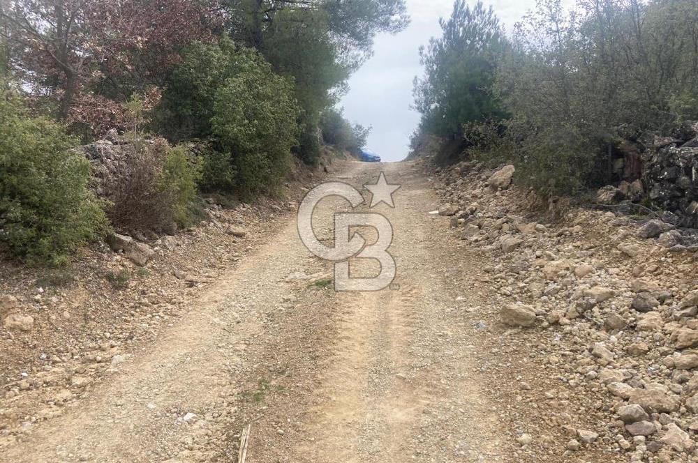 Muğla Menteşe Denizova'da Satılık 2232 m²  80m Yol Cepheli Tarla