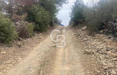Muğla Menteşe Denizova'da Satılık 2232 m²  80m Yol Cepheli Tarla