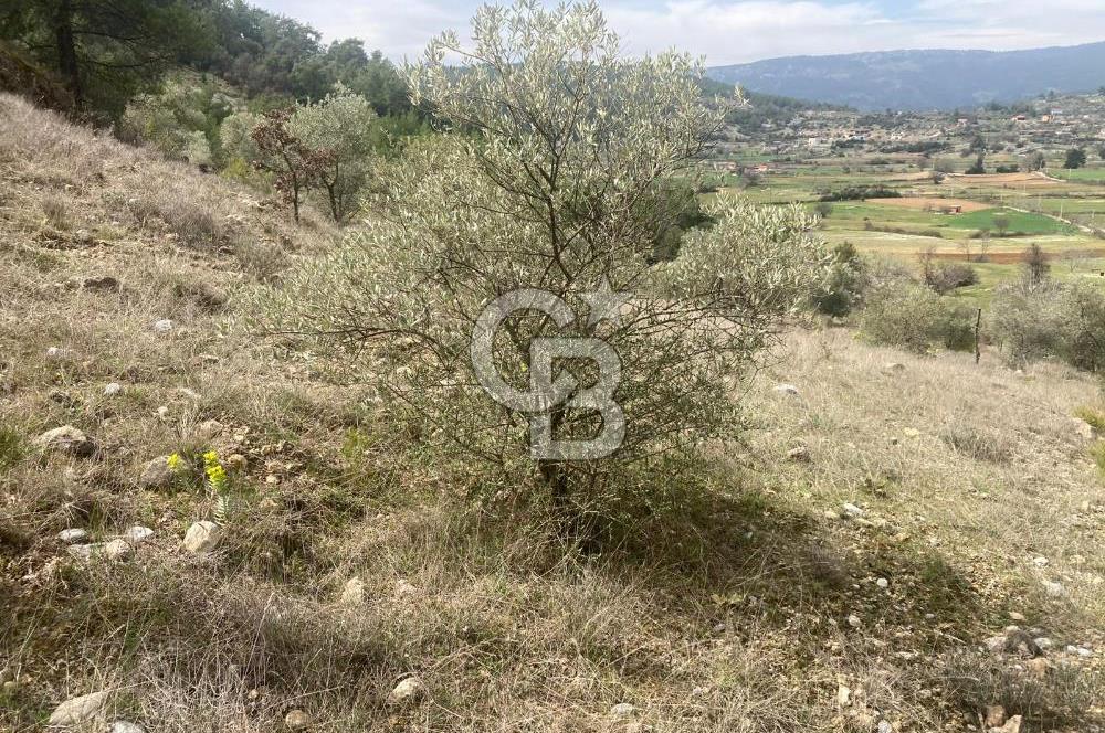 Muğla Menteşe Denizova'da Satılık 2232 m²  80m Yol Cepheli Tarla