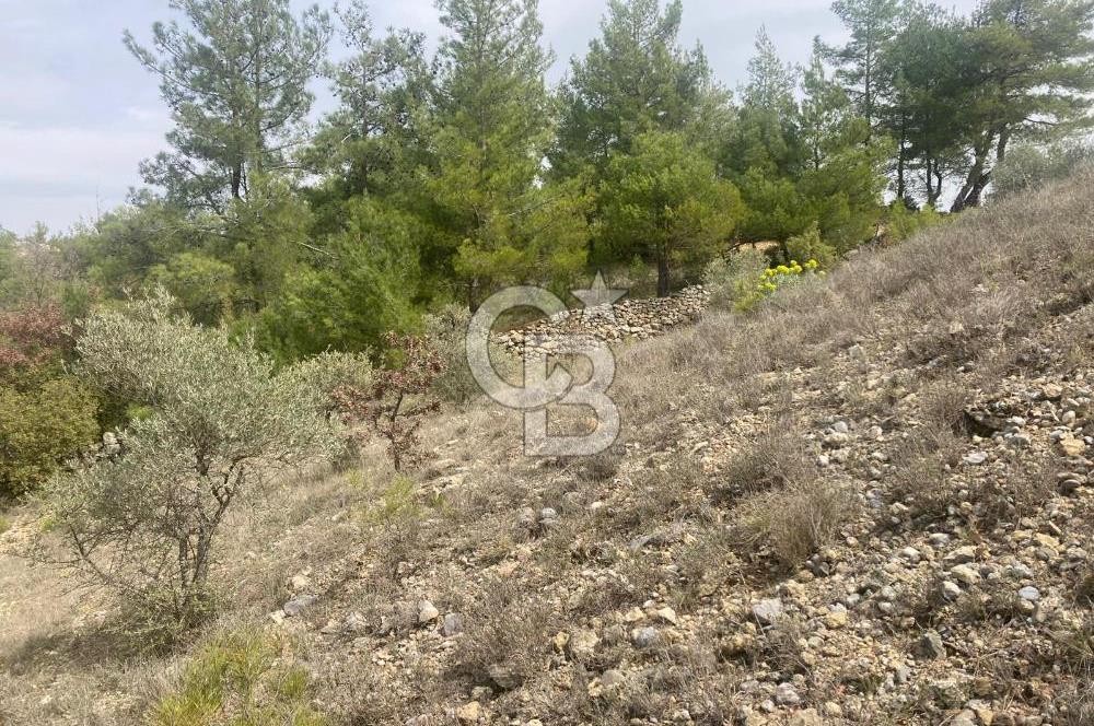 Muğla Menteşe Denizova'da Satılık 2232 m²  80m Yol Cepheli Tarla