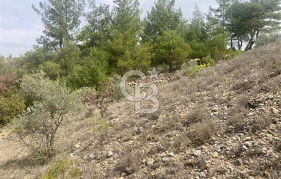 Muğla Menteşe Denizova'da Satılık 2232 m²  80m Yol Cepheli Tarla