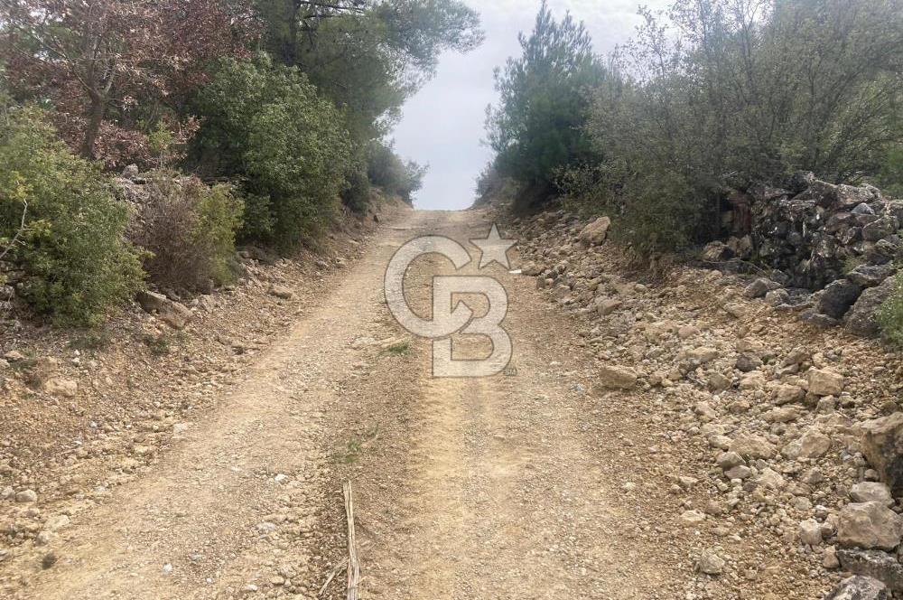 Muğla Menteşe Denizova'da Satılık 2232 m²  80m Yol Cepheli Tarla