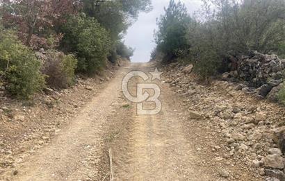 Muğla Menteşe Denizova'da Satılık 2232 m²  80m Yol Cepheli Tarla