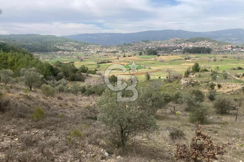 Muğla Menteşe Denizova'da Satılık 2232 m²  80m Yol Cepheli Tarla