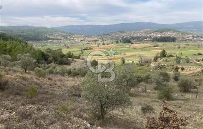 Muğla Menteşe Denizova'da Satılık 2232 m²  80m Yol Cepheli Tarla