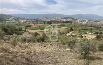 Muğla Menteşe Denizova'da Satılık 2232 m²  80m Yol Cepheli Tarla