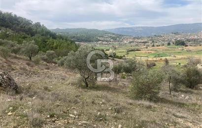 Muğla Menteşe Denizova'da Satılık 2232 m²  80m Yol Cepheli Tarla