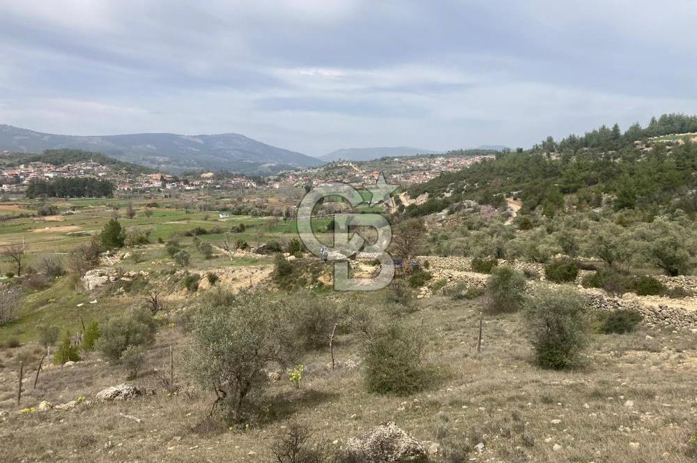 Muğla Menteşe Denizova'da Satılık 2232 m²  80m Yol Cepheli Tarla