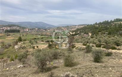 Muğla Menteşe Denizova'da Satılık 2232 m²  80m Yol Cepheli Tarla