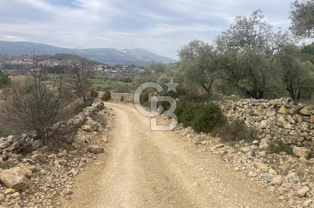 Muğla Menteşe Denizova'da Satılık 2232 m²  80m Yol Cepheli Tarla