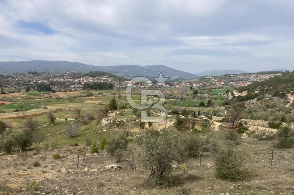 Muğla Menteşe Denizova'da Satılık 2232 m²  80m Yol Cepheli Tarla