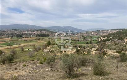 Muğla Menteşe Denizova'da Satılık 2232 m²  80m Yol Cepheli Tarla