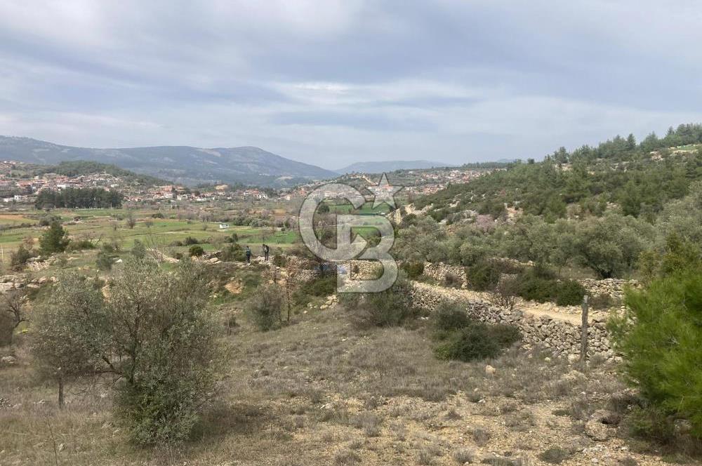 Muğla Menteşe Denizova'da Satılık 2232 m²  80m Yol Cepheli Tarla