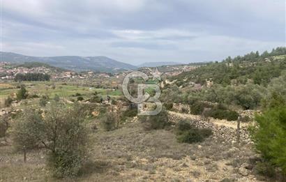 Muğla Menteşe Denizova'da Satılık 2232 m²  80m Yol Cepheli Tarla