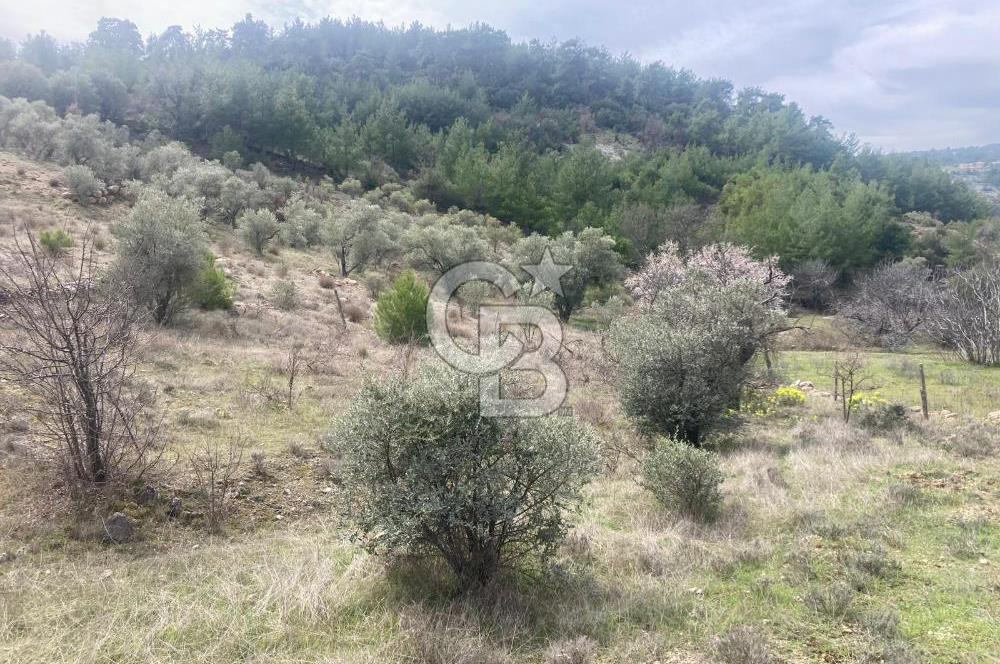 Muğla Menteşe Denizova'da Satılık 2232 m²  80m Yol Cepheli Tarla