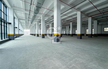 DELİKLİKAYA BÖLGESİNDE KİRALIK 17.000 m2 FABRİKA