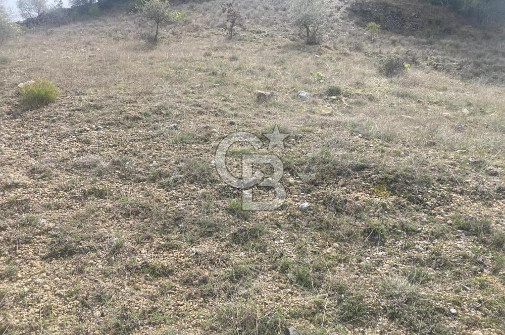 Muğla Menteşe Denizova'da Satılık 2232 m²  80m Yol Cepheli Tarla