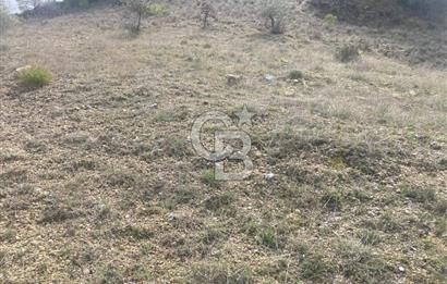 Muğla Menteşe Denizova'da Satılık 2232 m²  80m Yol Cepheli Tarla