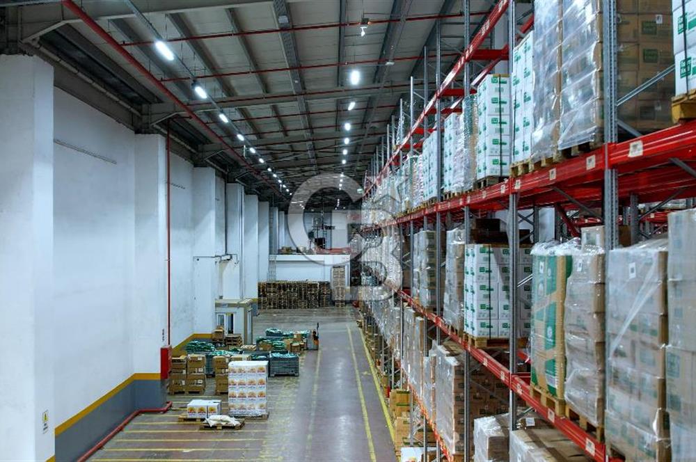ESENYURT KIRAÇ'TA KİRALIK LOJİSTİK DEPO 4 TIR RAMPASI