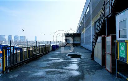 ESENYURT KIRAÇ'TA KİRALIK LOJİSTİK DEPO 4 TIR RAMPASI