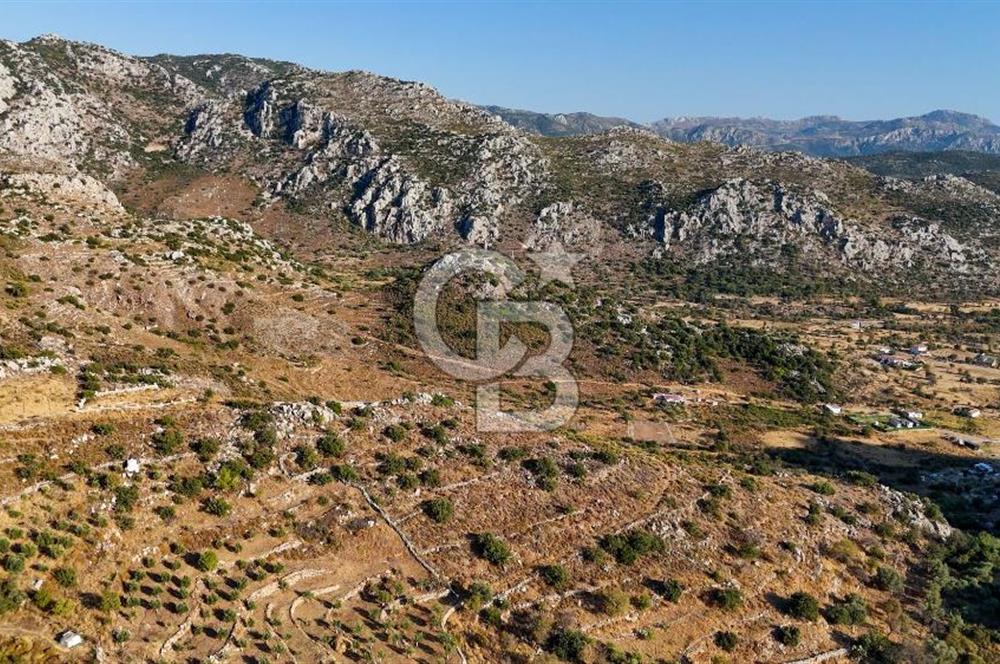 CB MARİNA'DAN MARMARİS BOZBURUN YEŞİLOVA'DA 2731m2 SATILIK TARLA