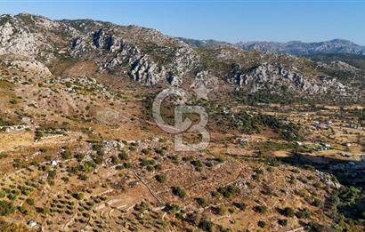 CB MARİNA'DAN MARMARİS BOZBURUN YEŞİLOVA'DA 2731m2 SATILIK TARLA