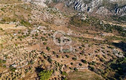 CB MARİNA'DAN MARMARİS BOZBURUN YEŞİLOVA'DA 2731m2 SATILIK TARLA