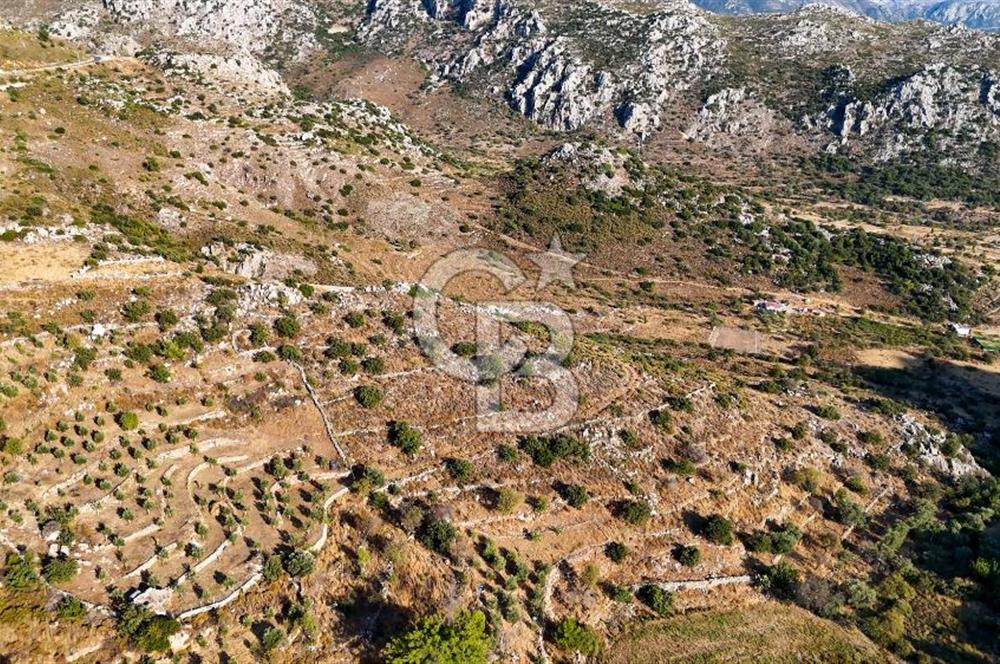 CB MARİNA'DAN MARMARİS BOZBURUN YEŞİLOVA'DA 2731m2 SATILIK TARLA