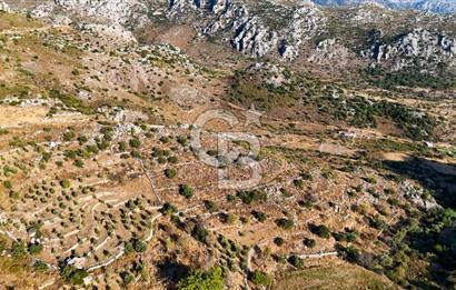 CB MARİNA'DAN MARMARİS BOZBURUN YEŞİLOVA'DA 2731m2 SATILIK TARLA