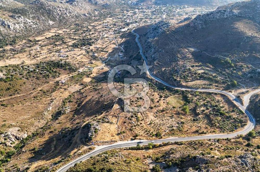 CB MARİNA'DAN MARMARİS BOZBURUN YEŞİLOVA'DA 2731m2 SATILIK TARLA