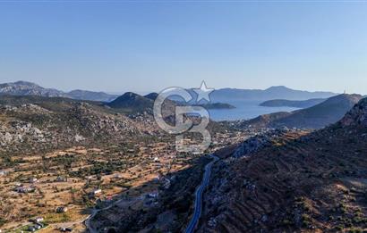 CB MARİNA'DAN MARMARİS BOZBURUN YEŞİLOVA'DA 2731m2 SATILIK TARLA