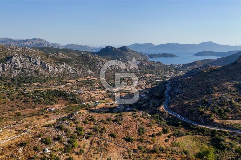 CB MARİNA'DAN MARMARİS BOZBURUN YEŞİLOVA'DA 2731m2 SATILIK TARLA