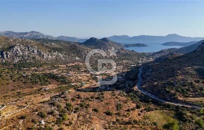 CB MARİNA'DAN MARMARİS BOZBURUN YEŞİLOVA'DA 2731m2 SATILIK TARLA