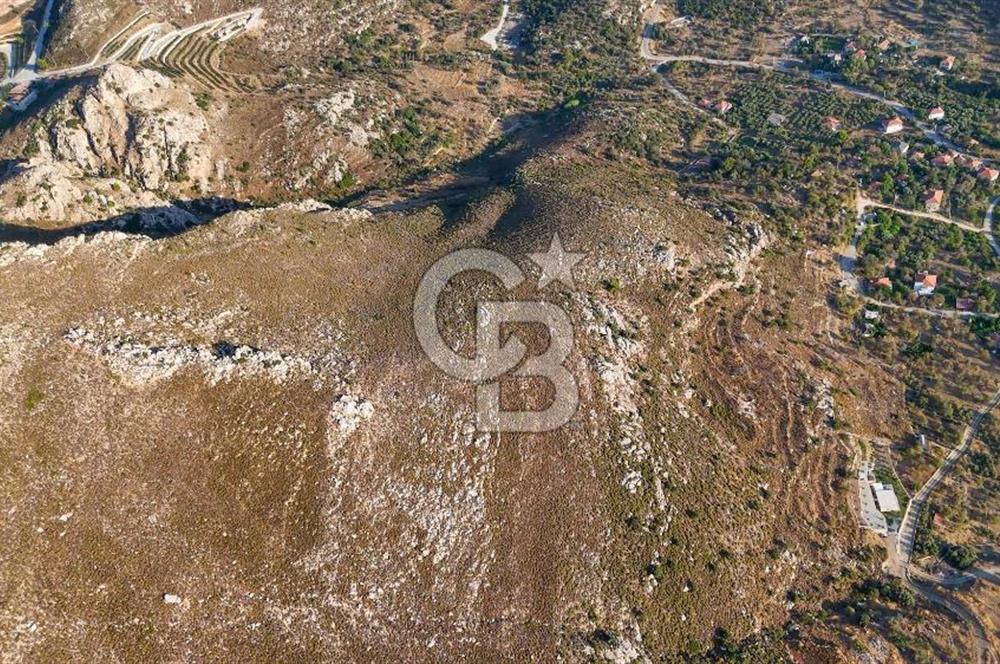 CB MARİNA'DAN MARMARİS BOZBURUN'DA 6218m2 SATILIK TARLA