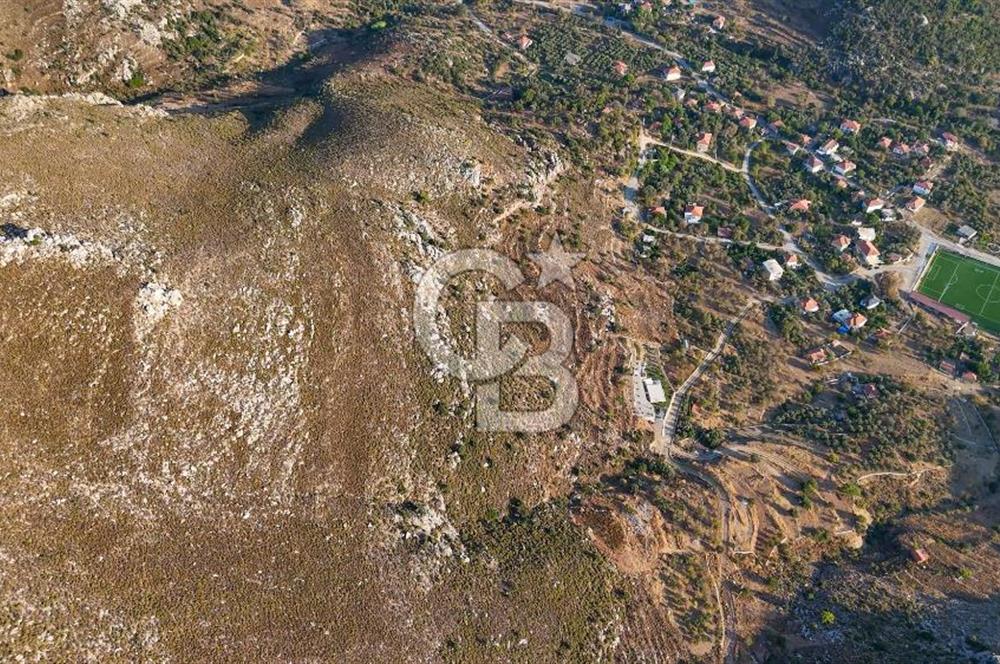 CB MARİNA'DAN MARMARİS BOZBURUN'DA 6218m2 SATILIK TARLA