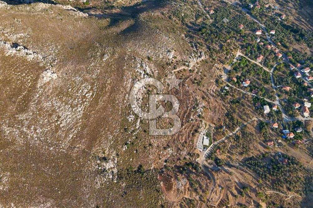 CB MARİNA'DAN MARMARİS BOZBURUN'DA 6218m2 SATILIK TARLA