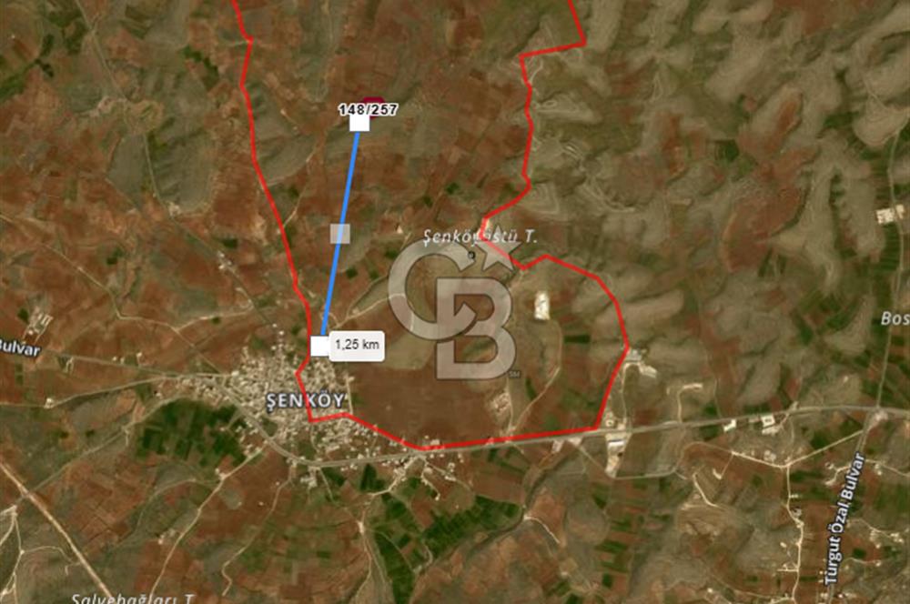 Mardin Midyat Şenköy'de 12.708 m2 lik Yatırımlık Bağ
