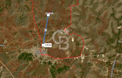 Mardin Midyat Şenköy'de 12.708 m2 lik Yatırımlık Bağ