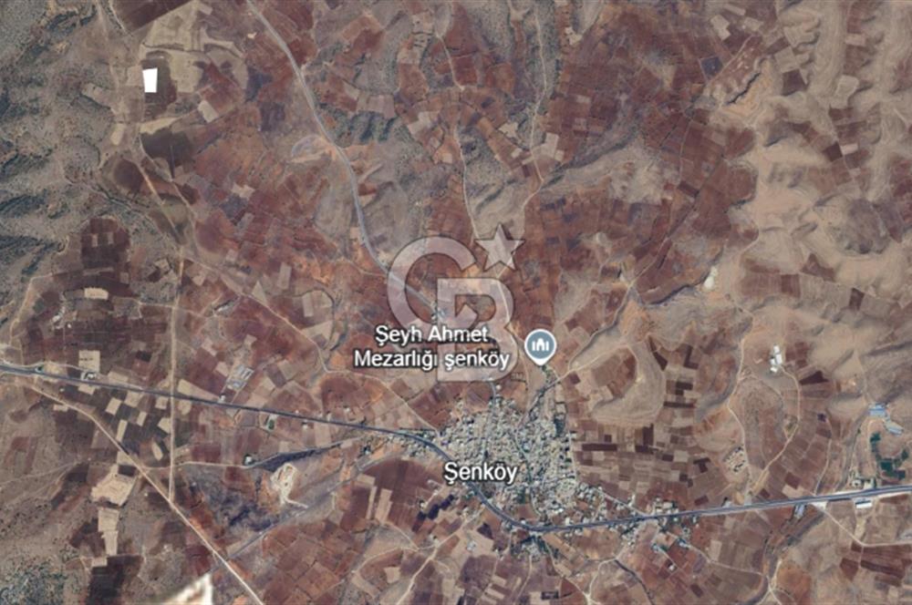 Mardin Midyat Şenköy'de 6768 m2 Yatırımlık Arazi