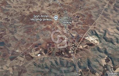 Mardin Midyat Şenköy'de 6768 m2 Yatırımlık Arazi