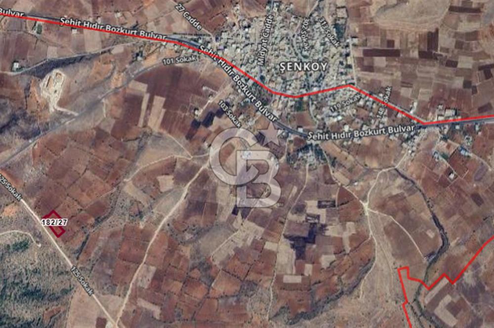 Mardin Midyat Şenköyde 5927 m2 Yatırımlık Bağ