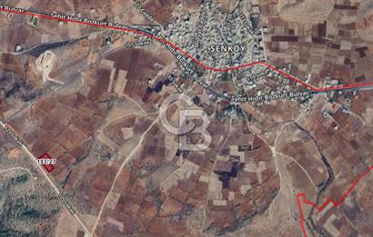 Mardin Midyat Şenköyde 5927 m2 Yatırımlık Bağ