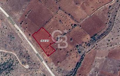 Mardin Midyat Şenköyde 5927 m2 Yatırımlık Bağ