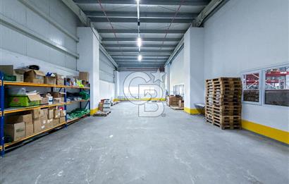 ESENYURT KIRAÇ'TA KİRALIK LOJİSTİK DEPO 4 TIR RAMPASI