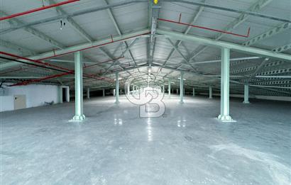 DELİKLİKAYA BÖLGESİNDE 10.500 m2 KİRALIK FABRİKA