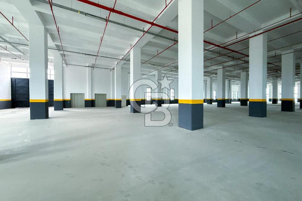 DELİKLİKAYA BÖLGESİNDE KİRALIK 17.000 m2 FABRİKA