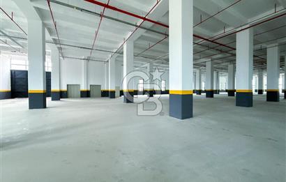 DELİKLİKAYA BÖLGESİNDE KİRALIK 17.000 m2 FABRİKA