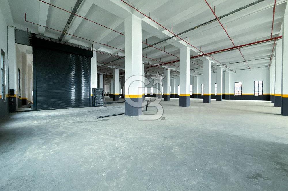 DELİKLİKAYA BÖLGESİNDE KİRALIK 17.000 m2 FABRİKA