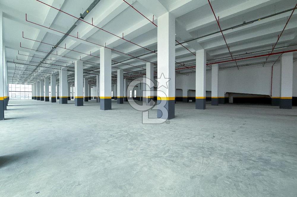 DELİKLİKAYA BÖLGESİNDE KİRALIK 17.000 m2 FABRİKA