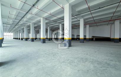 DELİKLİKAYA BÖLGESİNDE KİRALIK 17.000 m2 FABRİKA